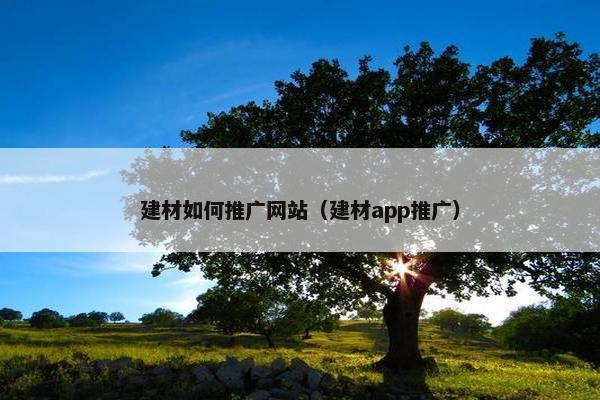 建材如何推广网站（建材app推广）