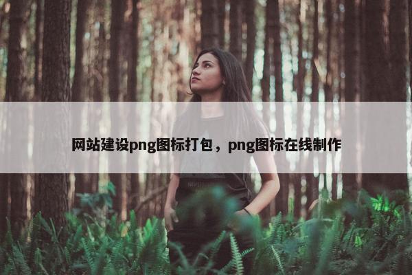 网站建设png图标打包，png图标在线制作