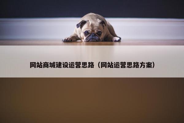 网站商城建设运营思路（网站运营思路方案）