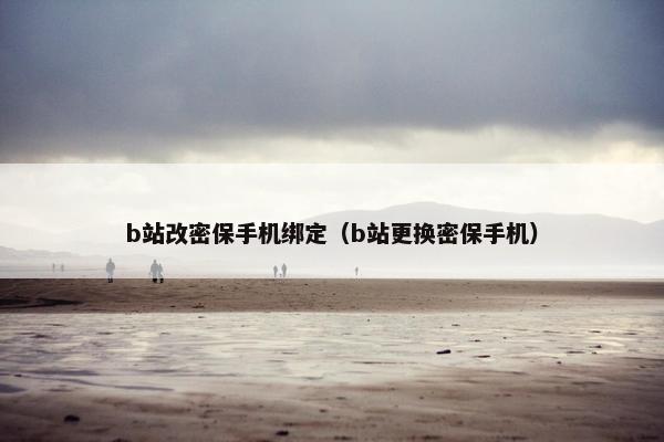 b站改密保手机绑定（b站更换密保手机）