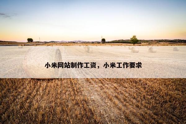 小米网站制作工资，小米工作要求