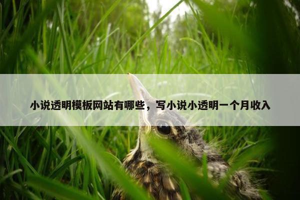 小说透明模板网站有哪些，写小说小透明一个月收入