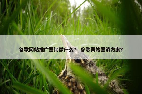 谷歌网站推广营销做什么？ 谷歌网站营销方案？