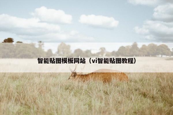 智能贴图模板网站（vi智能贴图教程）