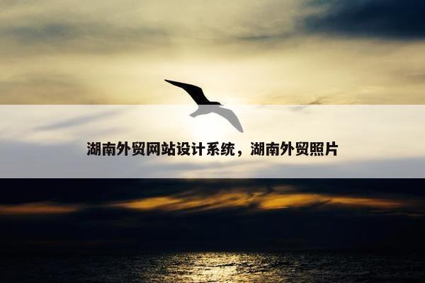 湖南外贸网站设计系统，湖南外贸照片