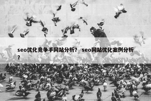 seo优化竞争手网站分析？ seo网站优化案例分析？