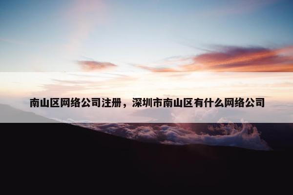 南山区网络公司注册，深圳市南山区有什么网络公司