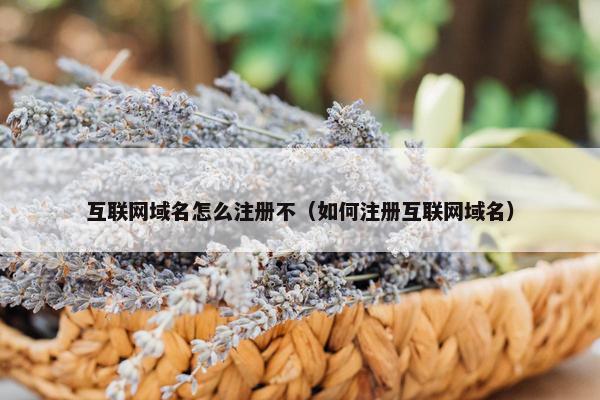 互联网域名怎么注册不（如何注册互联网域名）