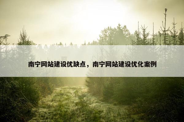 南宁网站建设优缺点，南宁网站建设优化案例