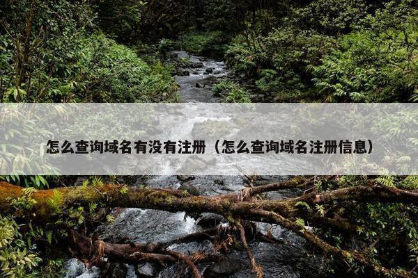 怎么查询域名有没有注册（怎么查询域名注册信息）