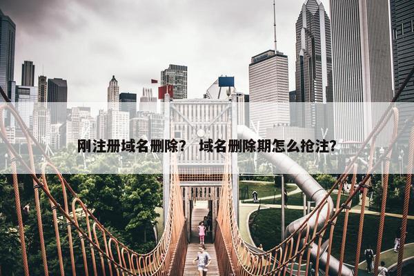 刚注册域名删除？ 域名删除期怎么抢注？