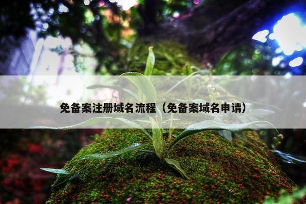 免备案注册域名流程（免备案域名申请）
