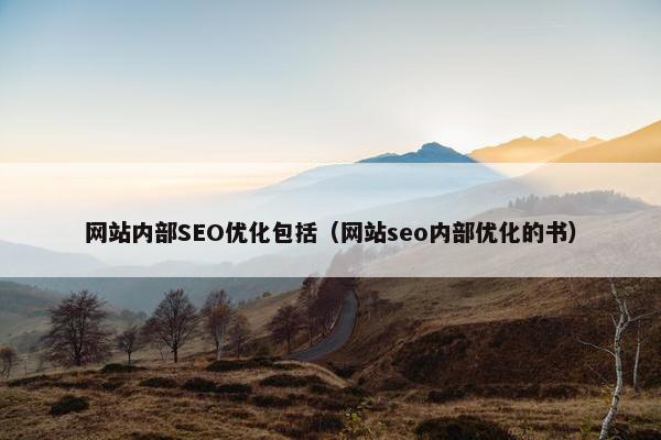 网站内部SEO优化包括（网站seo内部优化的书）