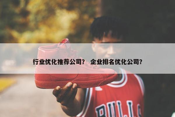 行业优化推荐公司？ 企业排名优化公司？