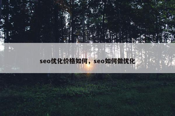 seo优化价格如何，seo如何做优化