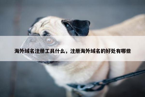海外域名注册工具什么，注册海外域名的好处有哪些