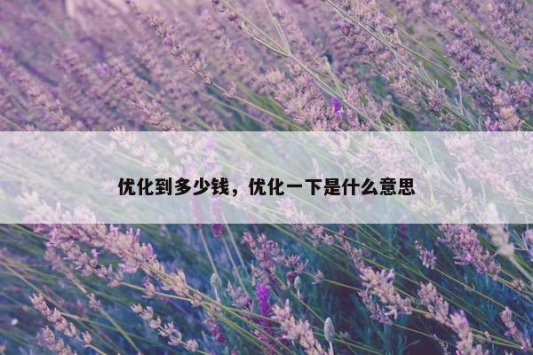 优化到多少钱，优化一下是什么意思