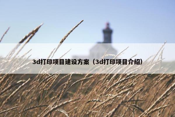 3d打印项目建设方案（3d打印项目介绍）