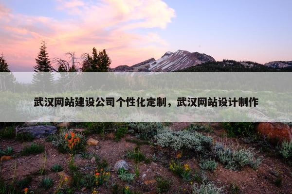 武汉网站建设公司个性化定制，武汉网站设计制作