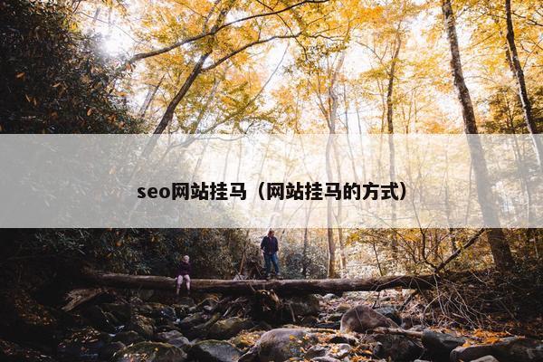seo网站挂马（网站挂马的方式）