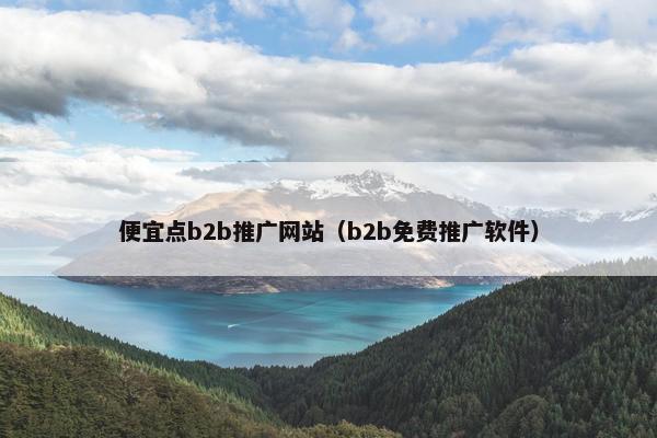 便宜点b2b推广网站（b2b免费推广软件）