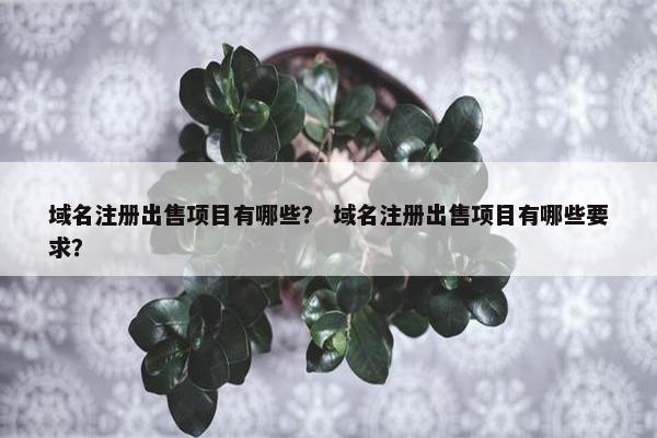 域名注册出售项目有哪些？ 域名注册出售项目有哪些要求？