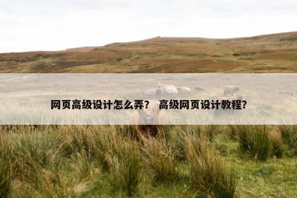 网页高级设计怎么弄？ 高级网页设计教程？