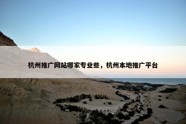 杭州推广网站哪家专业些，杭州本地推广平台