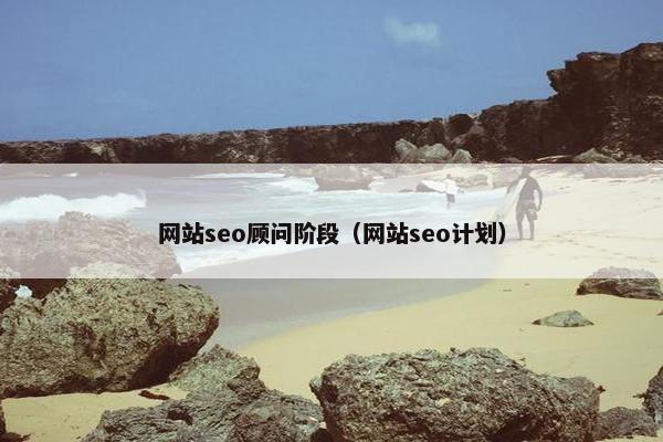 网站seo顾问阶段（网站seo计划）
