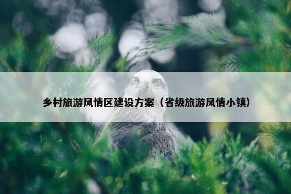 乡村旅游风情区建设方案（省级旅游风情小镇）