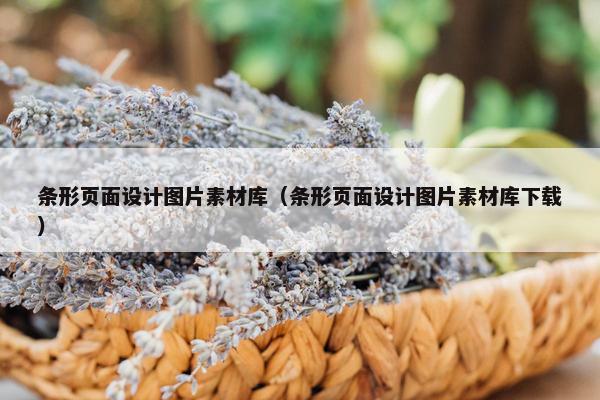 条形页面设计图片素材库（条形页面设计图片素材库下载）