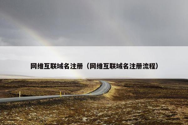 网维互联域名注册（网维互联域名注册流程）