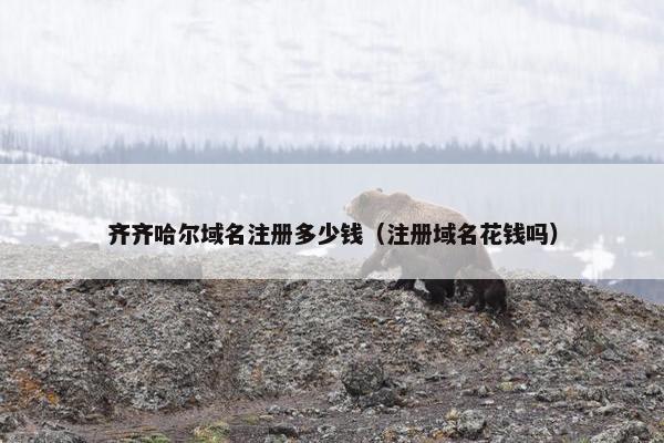 齐齐哈尔域名注册多少钱（注册域名花钱吗）