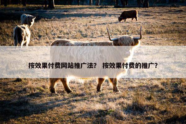 按效果付费网站推广法？ 按效果付费的推广？