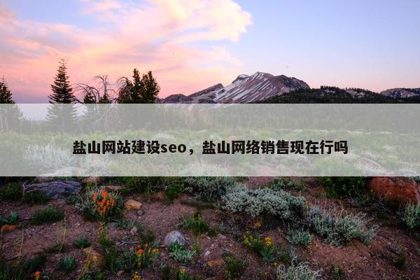 盐山网站建设seo，盐山网络销售现在行吗