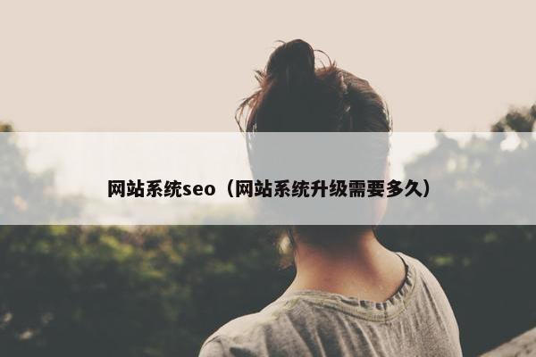 网站系统seo（网站系统升级需要多久）