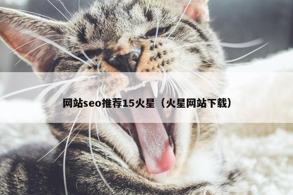 网站seo推荐15火星（火星网站下载）