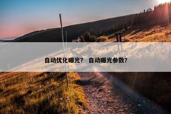 自动优化曝光？ 自动曝光参数？