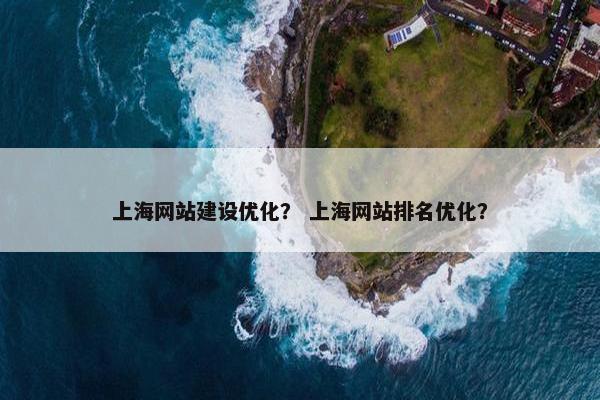 上海网站建设优化？ 上海网站排名优化？