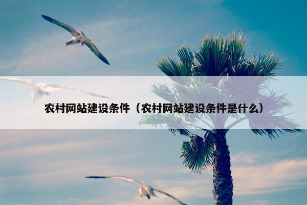 农村网站建设条件（农村网站建设条件是什么）