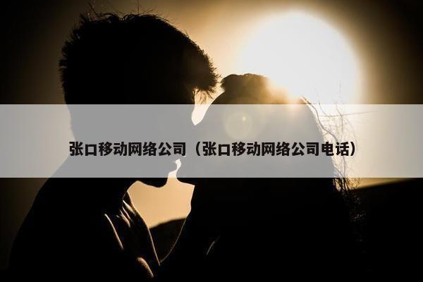 张口移动网络公司（张口移动网络公司电话）