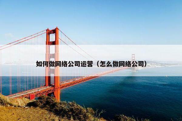 如何做网络公司运营（怎么做网络公司）