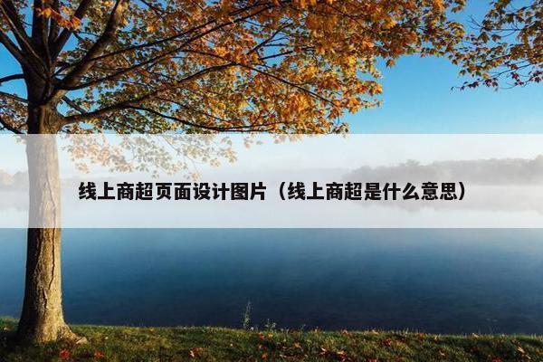 线上商超页面设计图片（线上商超是什么意思）