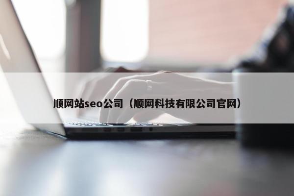顺网站seo公司（顺网科技有限公司官网）