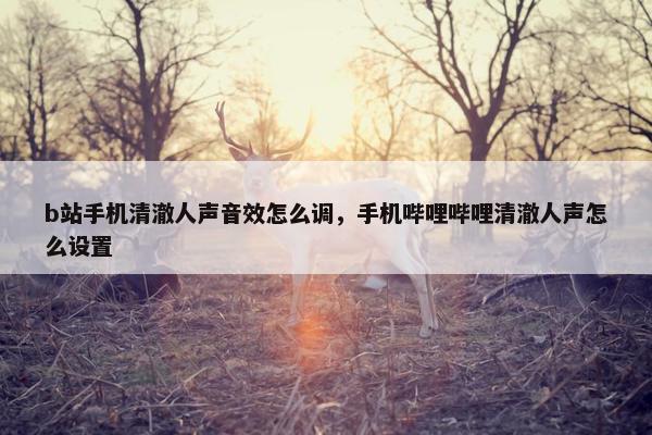b站手机清澈人声音效怎么调，手机哔哩哔哩清澈人声怎么设置