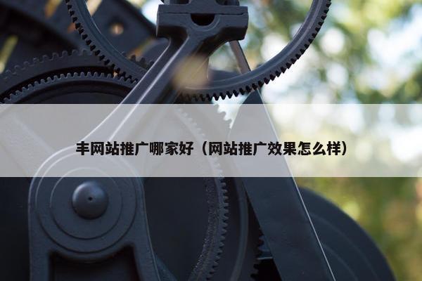 丰网站推广哪家好（网站推广效果怎么样）