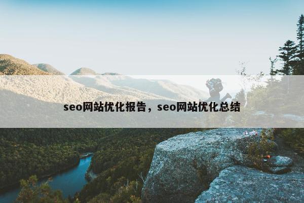 seo网站优化报告，seo网站优化总结