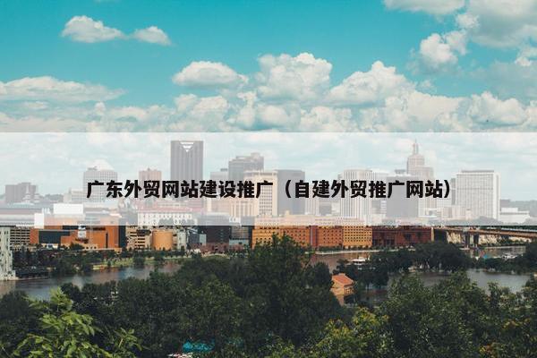 广东外贸网站建设推广（自建外贸推广网站）