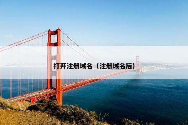 打开注册域名（注册域名后）