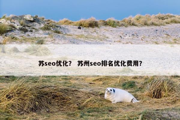 苏seo优化？ 苏州seo排名优化费用？